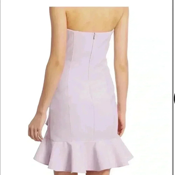 CINQ A SEPT Cassandra Ruffle Strapless Minidress - Picture 9 of 9